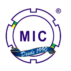 Mic
